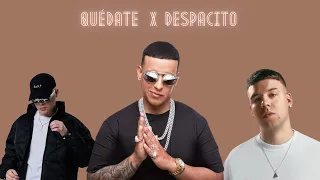 QUEDATE MASHUP | Quevedo x Daddy Yankee | Mashup 2023 | Amony DJ