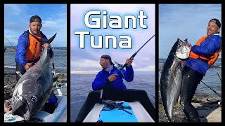 HUGE Tuna off a kayak!