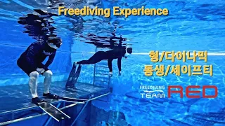프리다이빙/체험다이빙/freediving/experience/songdo pool/underwater/덕다이빙4가지포지션/Duck Diving 4 Positions/REDssam