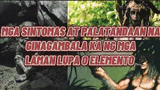 MGA SINTOMAS AT PALATANDAAN NA GINAGAMBALA KA NG MGA LAMAN-LUPA O ELEMENTO(PART#1)|Philippines