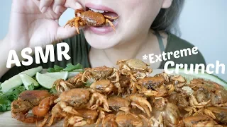 ASMR | Soft Shell Crabs *Extreme Crunch NoTalking Eating Sounds| N.E Let's Eat