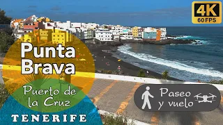 Tenerife - Puerto de la Cruz, Punta Brava 🪨🌊🌤️ 4K