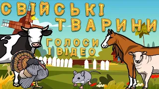 Свійські ТВАРИНИ - НАЗВИ і ГОЛОСИ домашніх тварин українською мовою | Розвиваючі мультики для дітей