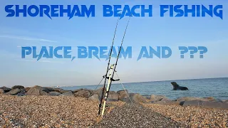 SEA FISHING UK 2023-SHOREHAM BEACH FISHING - I CAUGHT A NEW SPECIES