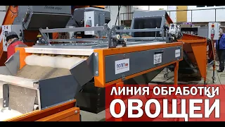 Линия очистки картофеля (видео)