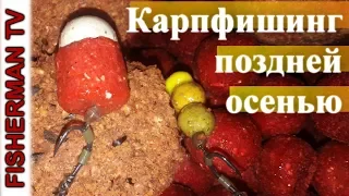 Карпфишинг поздней осенью