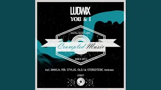 You & I (Olej & Stereoteric Remix)