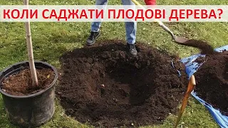 Коли краще саджати дерева - восени, весною чи взимку? Мої приклади