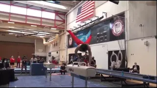 (15.500) Stephen Nedoroscik INSANE Pommel Horse World Trials Day 2!