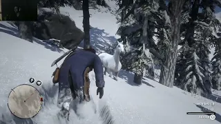 Arthur Tames The White Arabian in Red Dead Redemption 2