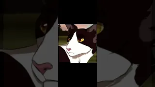 Tallstar || edit [not my animations, creds: desc] #warriorcats #warriors #edit