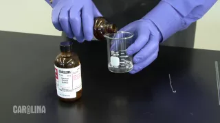 Nylon Synthesis Chemistry Demo