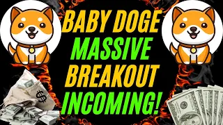 BABY DOGE COIN WILL 1000X AND THIS IS HOW | BABY DOGE MASSIVE COIN BURNING! 📈