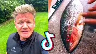 All Gordon Ramsay reactions to bad TikTok cooking