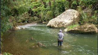 Incredible Fly Fishing for BIG Rainbow Trout in a Stunning River!!