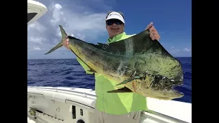 2017: Episode 1 - Dolphin off Islamorada, FL Keys