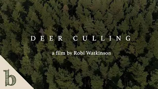Deer Culling | Short Wildlife Documentary