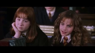 Harry Potter y la Cámara Secreta: Defensa Contra las Artes Oscuras Año 2