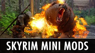 Skyrim Mods: Mini Mods for your Never-Ending Mod List!