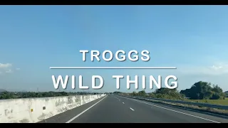 1079 Wild Thing -  Troggs (Karaoke)