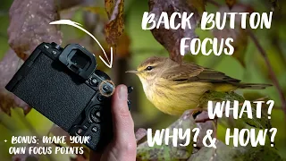 Back button focus on the OM-1: What is it? Why using it? How to set it up properly