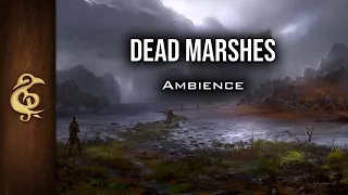 Dead Marshes | Adventure Ambience | 1 Hour #dnd