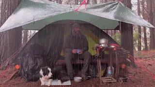 Camping in Rain with Bushcraft