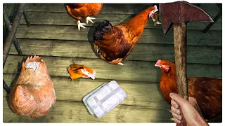 Using Chicken Decoys to Hide Illegal Contraband - Contraband Police