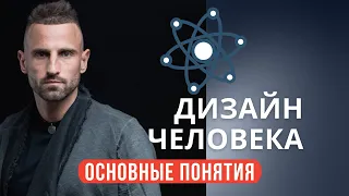 Human Design по полочкам. Самые основы системы Дизайн Человека