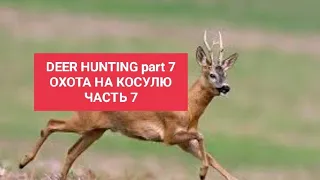 DEER HUNTING part 7 ОХОТА НА КОСУЛЮ  ЧАСТЬ 7