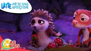 Latte and The Magic Waterstone [A hedgehog don't sleep!]