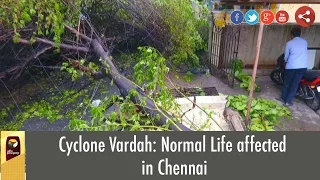 Cyclone Vardah: Normal Life affected in Chennai