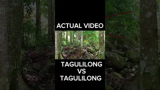TAGULILONG 4 #shortvideo #reels #shortshorts #intense #viralvideo #viral #tagulilong #reelsshorts