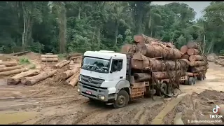 Chama no puxa da tora 🚚🎉 Essa é das antigas onde tudo começou 💙