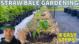 How To Plant A STRAW BALE GARDEN In 4 Easy Steps