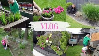 VLOG🇩🇪:много дел на участке/ поехали в цветочный😍🌺муравьи в растениях😖🐜