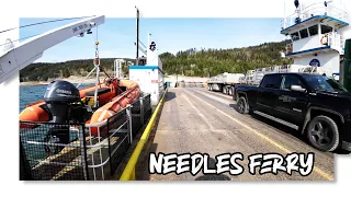 Monashee's behind us, Needles Ferry ahead • Super B Trucking Life 🇨🇦