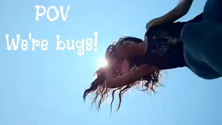 POV Nature Walk * Bug Stuck on a Boot! {unaware}