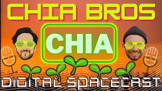 Chia Bros Chat - Chia Plot Format 2.0, Replotting, Chia Friends vs Foes, Garage Datacenter