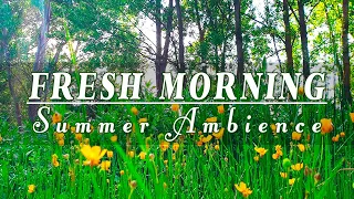 🌿🌞Begin Your Day with the POSITIVE ENERGY of Healing Forest Sounds 🌿 Fresh Morning Summer Ambience