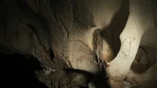 The Chauvet Cave