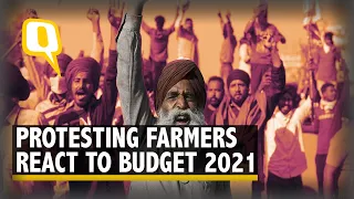 Budget 2021 | 'Nothing For Our Welfare': Farmers Respond to Sitharaman's Budget on Agriculture