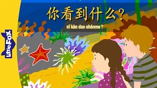 What Do You See? (你看到什么?) | Single Story | Early Learning 1 | Chinese | By Little Fox