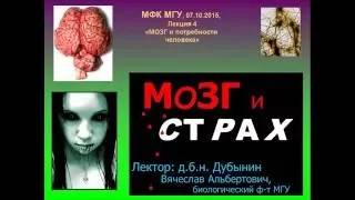 лекция 4 Дубынин Вячеслав   Мозг и страх