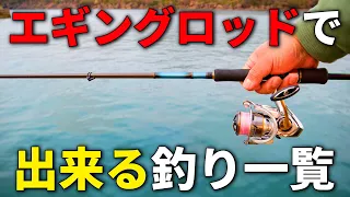 海釣り最強の万能竿「エギングロッド」で出来るオススメの釣りをご紹介します！