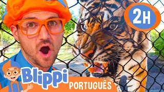 Blippi Visita um Zoológico | 2 HORAS DO BLIPPI! | Vídeos de Animais para Crianças em Português