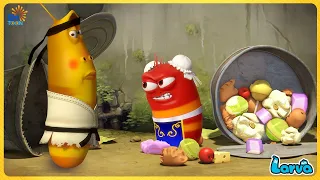 LARVA SEASON 3 EPISODE 426: GIFT | CARTOON NEW VERSION | FUNNY CLIP - CARTOONS FOR LIFE