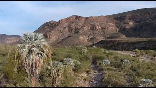 Baja California by Drone: Blue Palm Canyons