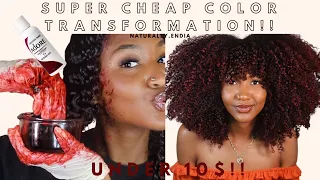 COLOR TRANSFORMATION on Natural Hair| UNDER $10