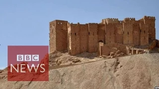 Syria's Palmyra 'in Islamic State hands '- BBC News